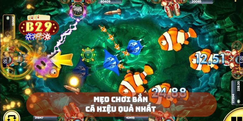 Mẹo chơi bắn cá hiệu quả nhất 