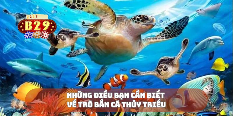 Những điều bạn cần biết về trò bắn cá thủy triều