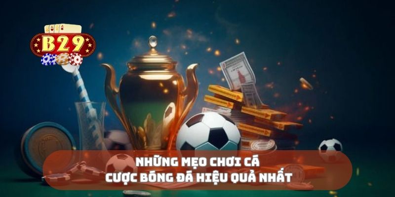 Những mẹo chơi cá cược bóng đá hiệu quả nhất