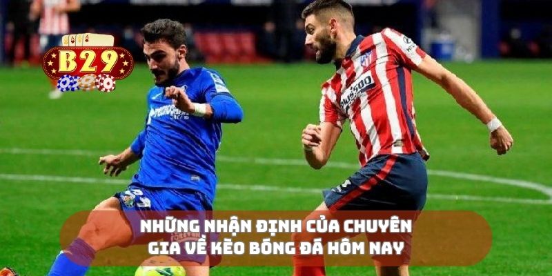 Những nhận định của chuyên gia về kèo bóng đá hôm nay